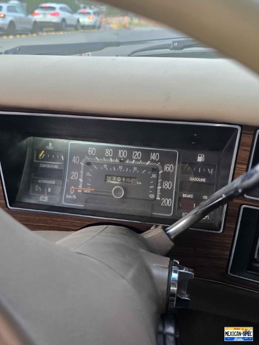 81DART-brown-GTO2-10-dash.jpg