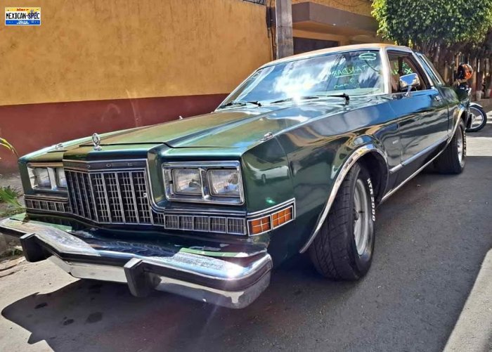 81dart-green-cdmx-01.jpg