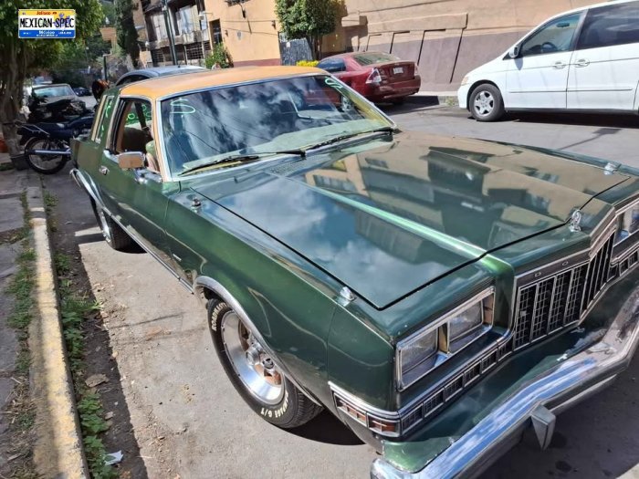 81dart-green-cdmx-04.jpg