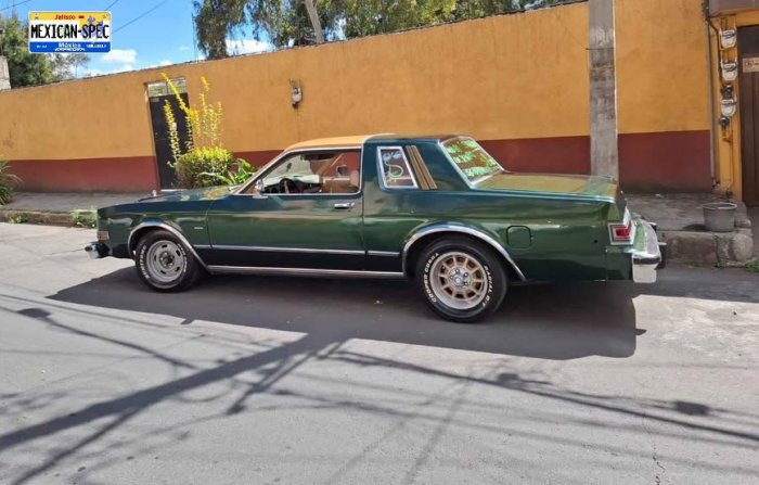81dart-green-cdmx-06.jpg