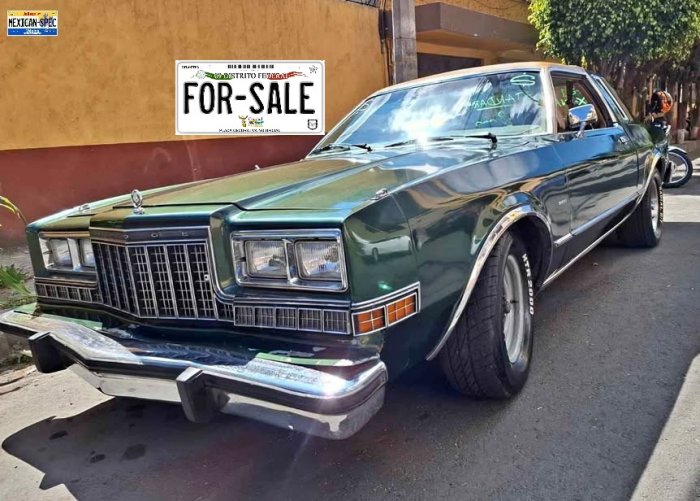 81dart-green-cdmx-13.jpg