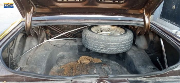 81dart-jal-brownC-06-trunk.jpg