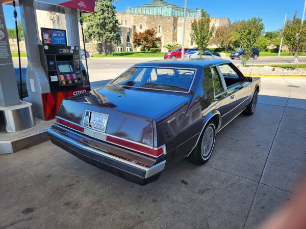 81Imp_02.jpg