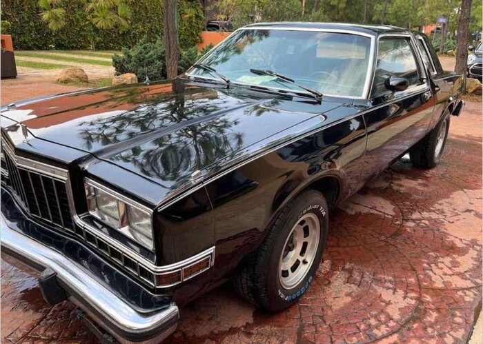 81magnum-black-mich1-02-lf.jpg