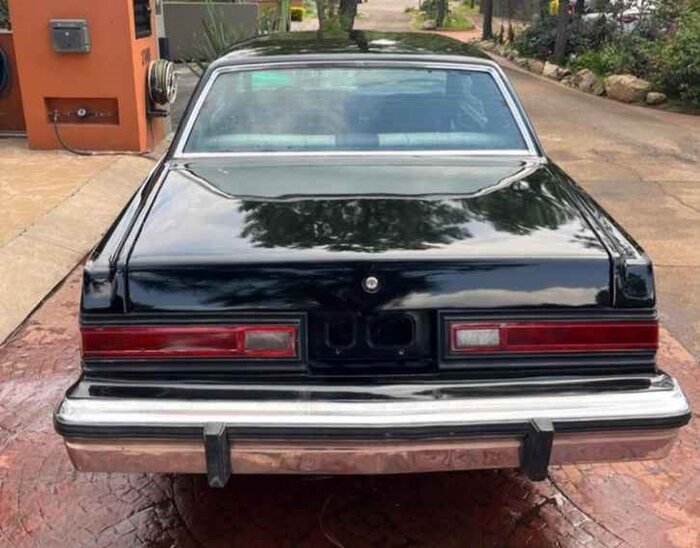 81magnum-black-mich1-03-rear.jpg