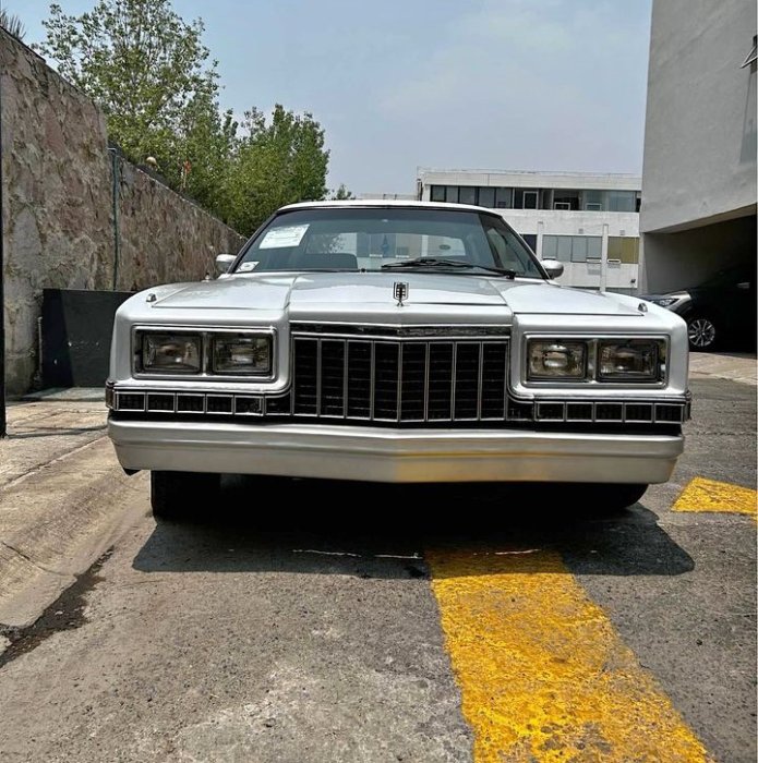 81magnum-grey-edomex6-01-front.jpg