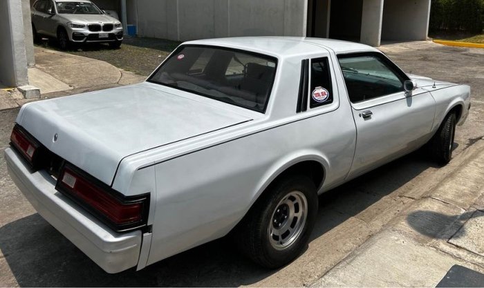 81magnum-grey-edomex6-02-rr.jpg