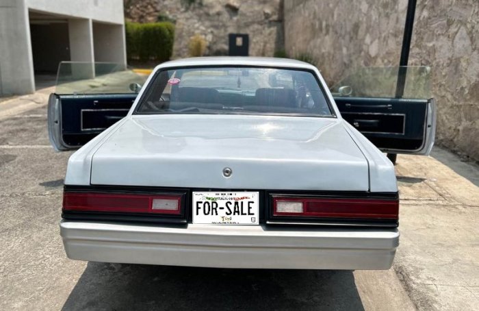 81magnum-grey-edomex6-07-outro.jpg