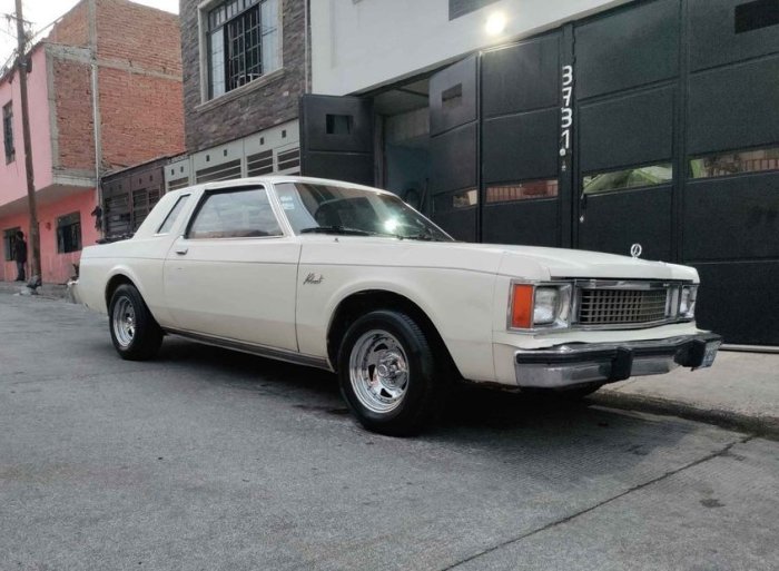 81valiant-white-tonala8-02-rf.jpg