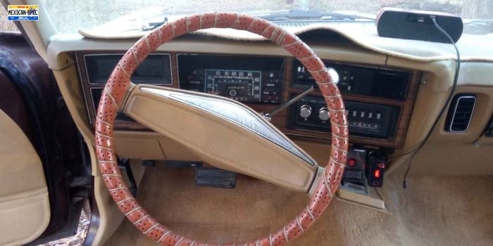 81valiantvolare-SON-brownB-10-sterwhl.jpg