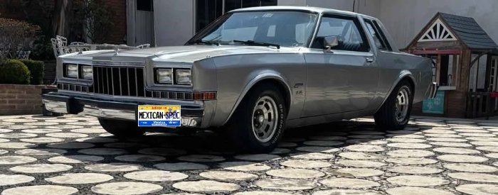 82magnum-GREY-dfJ-03-lf.jpg