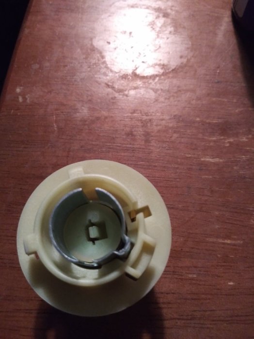 83073380_646531982786368_693365660406775808_n.jpg