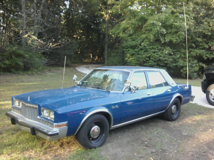 84Ply-GF.jpg