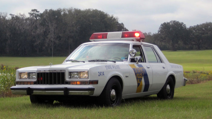 86 Diplomat trooper.jpg