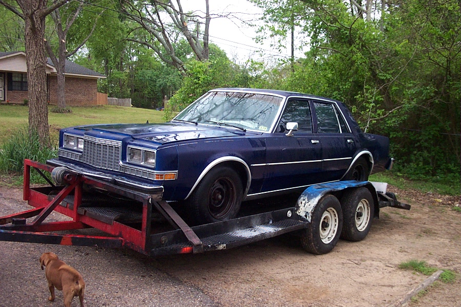86 Plymouth Gran Fury AHB 004.JPG