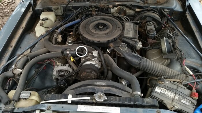 86 Underhood b.jpg