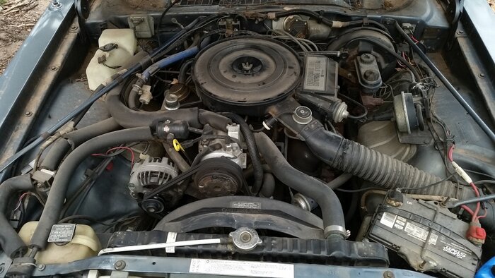 86 Underhood.jpg