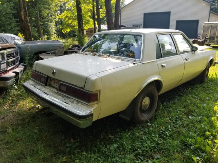88Ply-RR.jpg