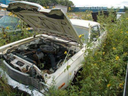 apsen junk 3.jpg