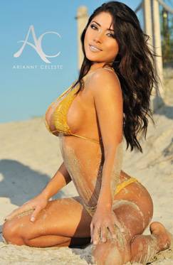 arianny-celeste-bikini-poster-store-detail1.jpg