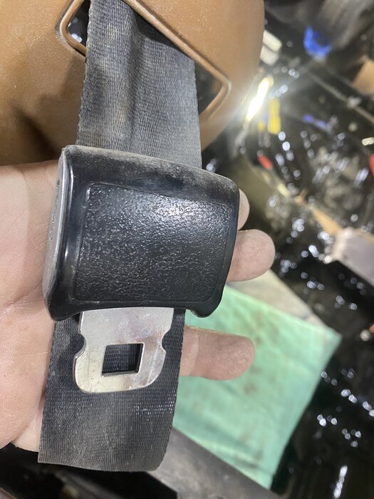 aspen seat belt.jpg