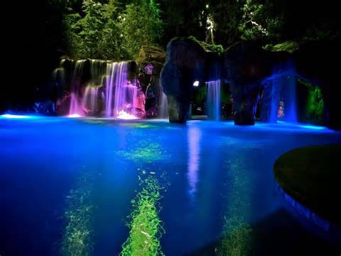 backyard1.jpg
