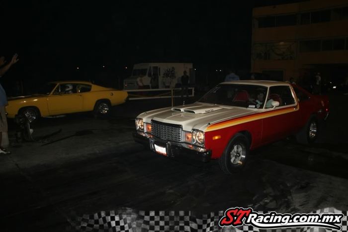barracudavsbee.jpg