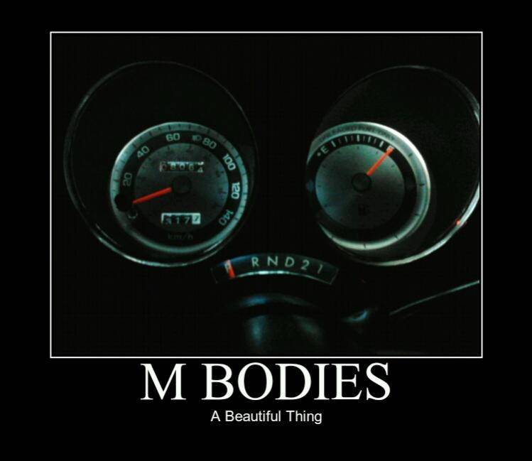 beauty.jpg