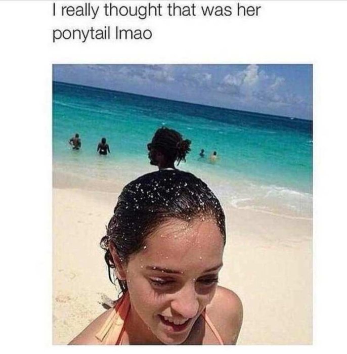 beech.jpg