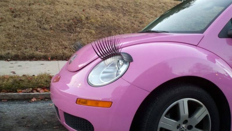 beetle 1.jpg