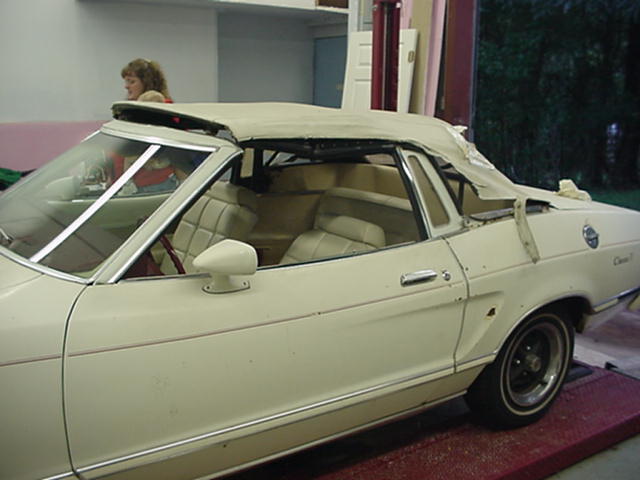 belle-top-up.jpg