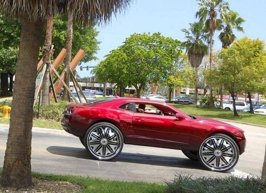 blinglish z28.jpg