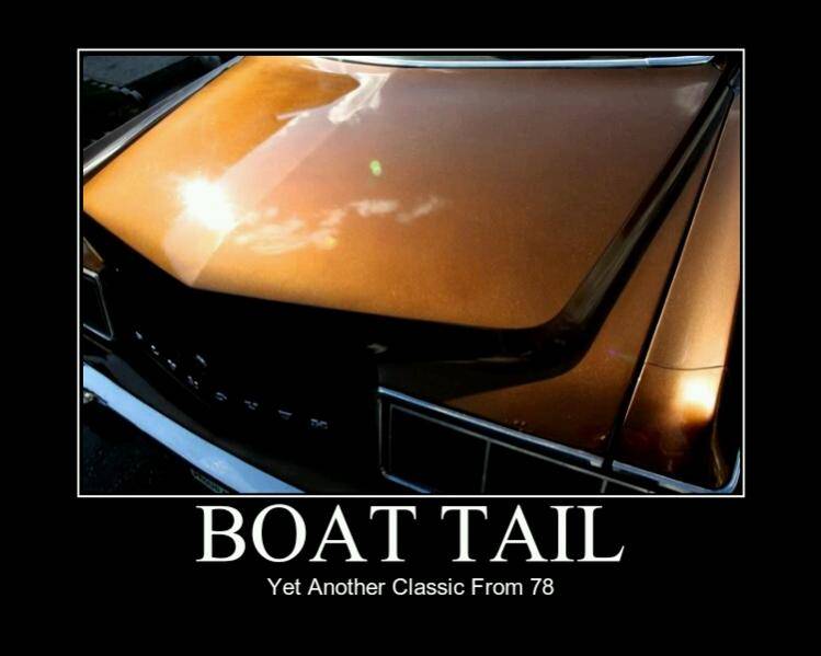 boat tail.jpg