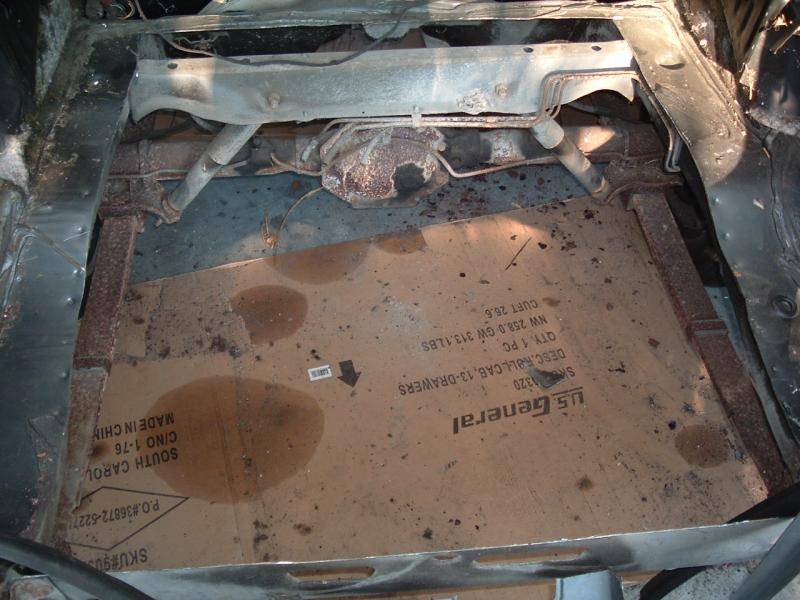 brown wag tank area 014.jpg