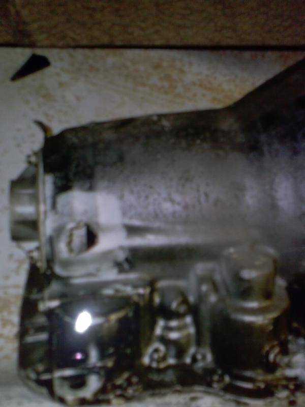 CAM00147.jpg