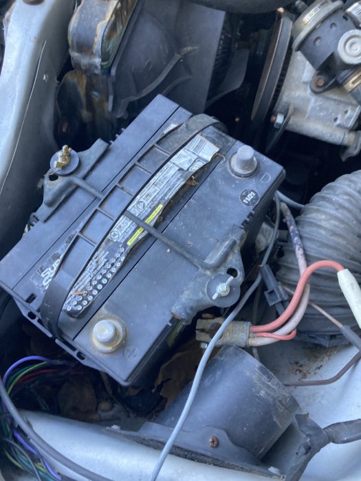 car04.jpg