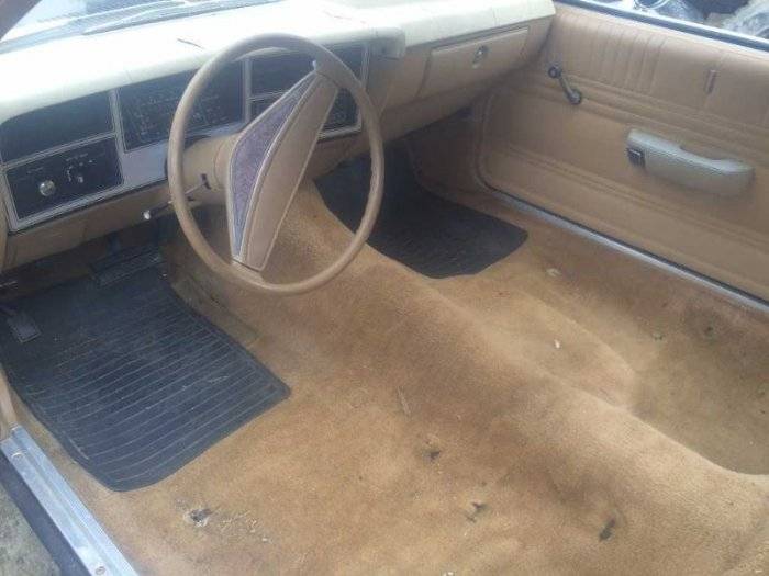 carpet coupe.jpg
