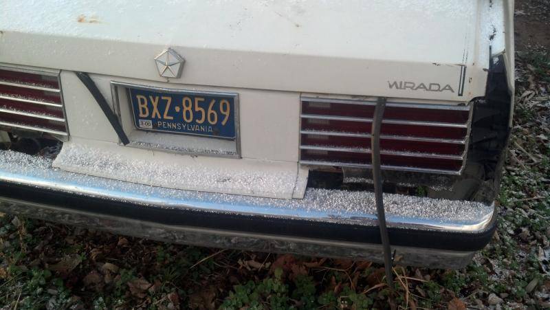 cell phone pics 241.jpg