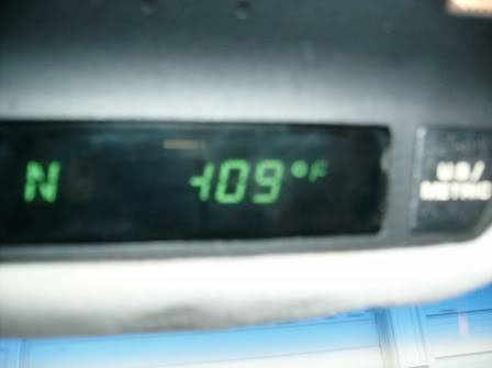 cold 3.jpg