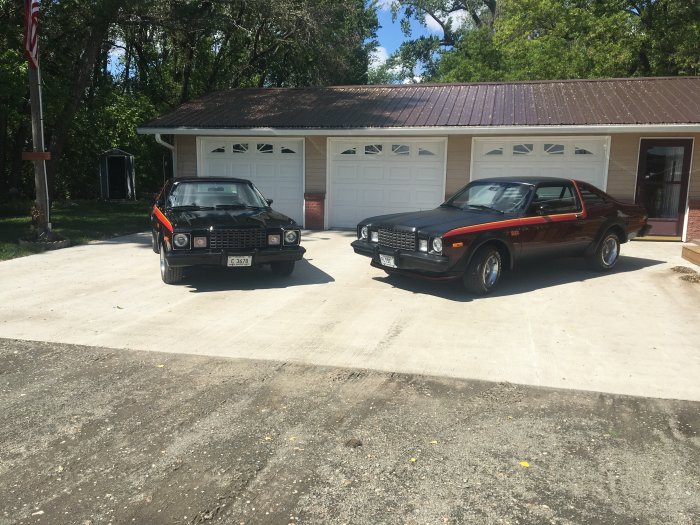 Coupes 2.JPG