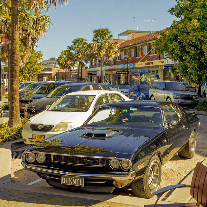 CRONULLA CHALLY.jpg