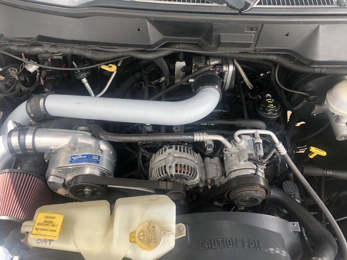 D4FCA80C-F2B5-4CAC-87CF-B9862E16D919.jpeg