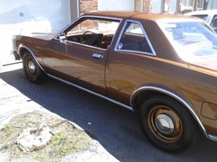 D5436548-orig.jpg
