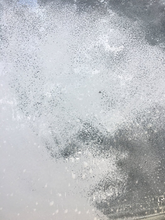 Decklid paint2.jpg
