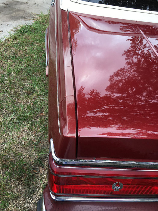 Decklid painted left edge rot.jpg