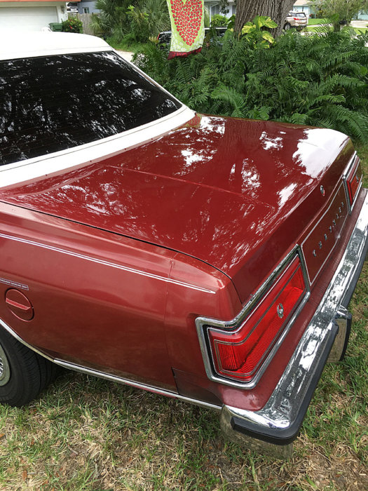 Decklid painted left rot.jpg