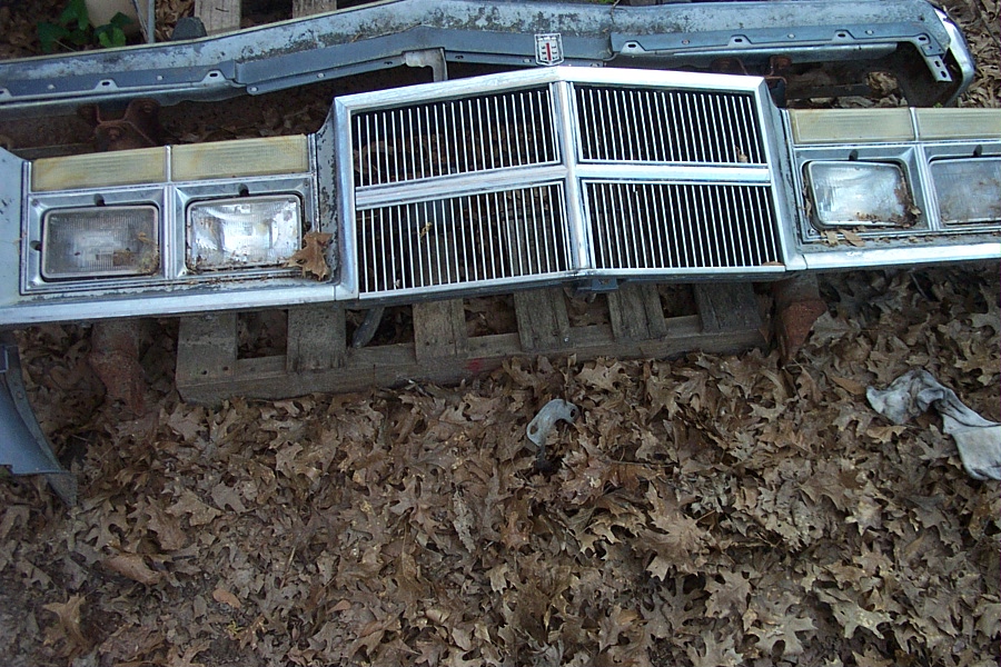 Dip SE Header 001.JPG