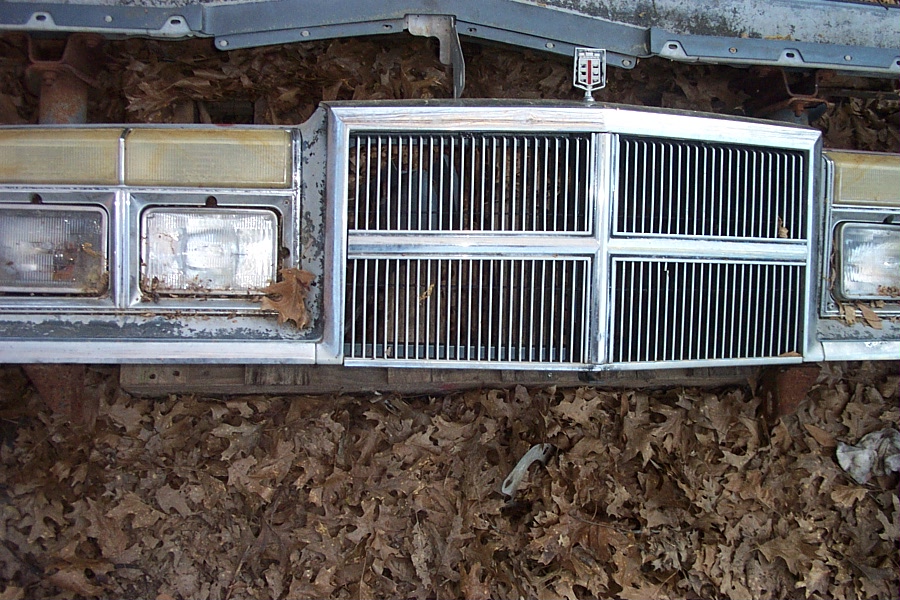 Dip SE Header 002.JPG