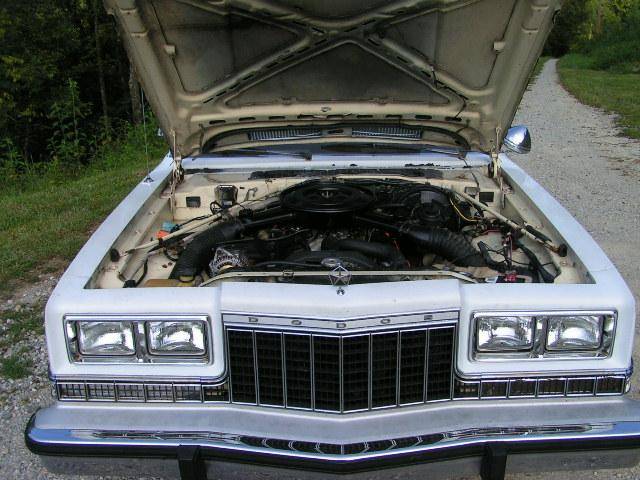dip5.jpg
