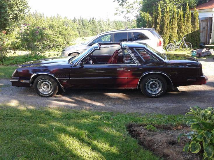 dodge1.jpg